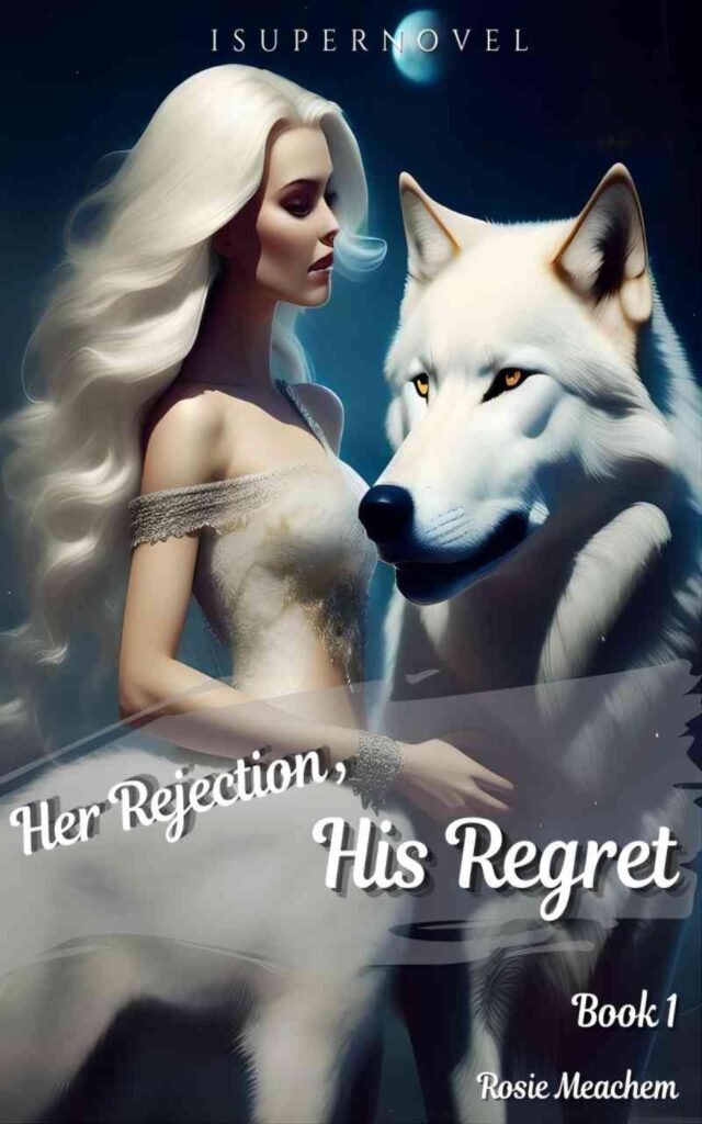 Her Rejection, His Regret Novel by Rosie Meachem