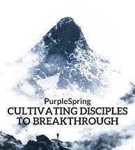 Cultivating Disciples to Breakthrough Novel by PurpleSpring
