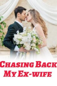 Chasing Back My Ex-wife Novel by F.C.L.Ye