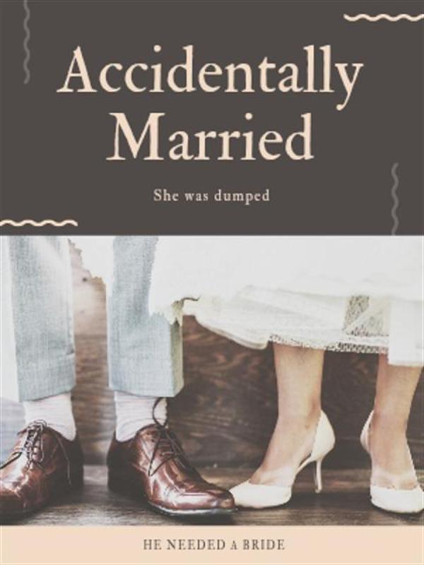 Accidentally Married Novel by Zera