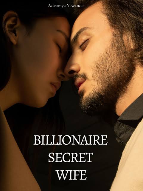 Billionaire Secret Wife Novel by Wendara