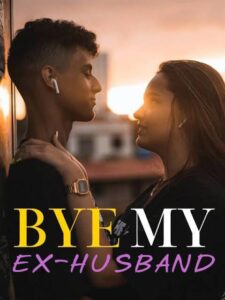 Bye, My Ex-husband Novel by AMBER HUNT