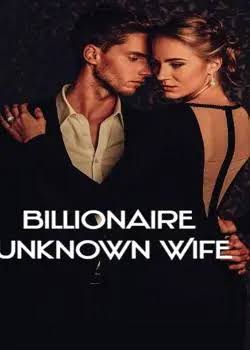 The Billionaire unknown wife Novel by Penny ji