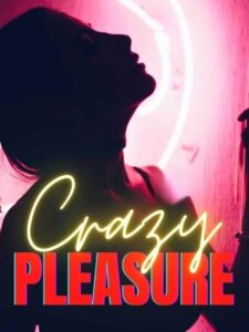 Crazy Pleasure Novel by gracey