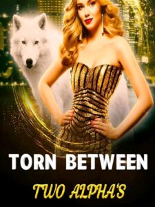 Torn between two Alphas Novel by Ava Jean
