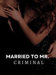 Married To Mr. Criminal Novel by autumn touched