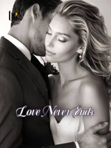 Love Never Ends Novel by Sui Bing Bing
