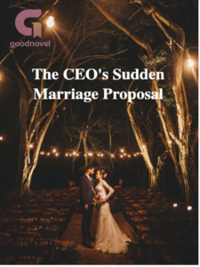 The CEO's Sudden Marriage Proposal Novel by Lilly