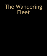 Wandering Fleet Novel