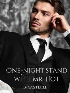 One-night Stand With Mr. Hot Novel by Lana Steele