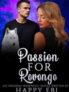 Passion For Revenge Novel by Happy Ebi