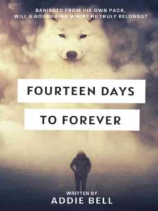 Fourteen Days To Forever Novel by Addie Bell