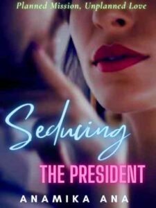 Seducing The President Novel by ANA
