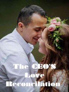 The CEO's Love Reconcilation Novel by Ivy Rogers