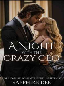 A Night With The Crazy CEO Novel by Sapphire Dee