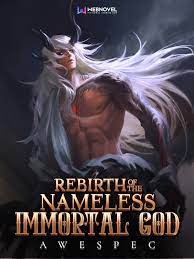 Rebirth of the Nameless Immortal God Novel