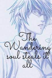 The Wandering Soul Steals it all Novel