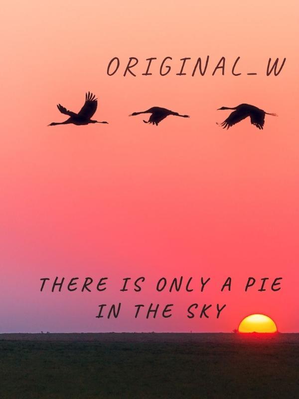 There is Only a Pie in the Sky Novel
