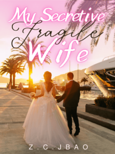 My Secretive Fragile Wife Novel by Z.C.Jbao