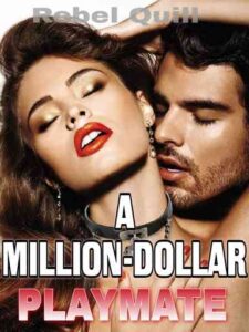 A Million-Dollar Playmate Novel by Rebel Quill