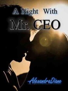 A Night with Mr. CEO Novel by AlexandraDiane