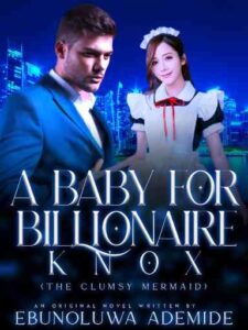 A Baby For Billionaire Knox Novel by Ebunoluwa Ademide