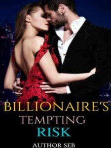 Billionaire's Tempting Risk Novel by Author seb