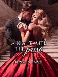 A Night with the Past Novel by Ornella Carey