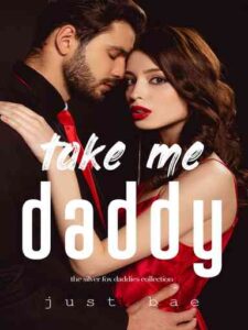 Take Me Daddy: The Silver Fox Daddies Collection Novel by Just Bae