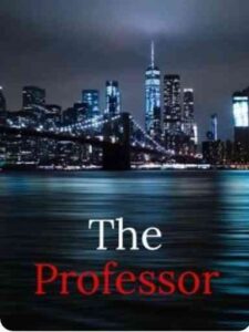 The Professor Novel by Chelsea S