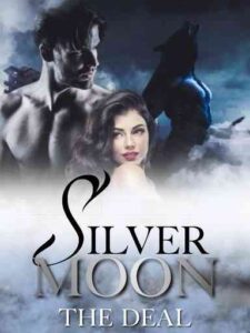 Silver moon - The deal Novel by Paula Tekila