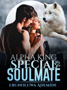 Alpha King Special Soulmate Novel by Ebunoluwa Ademide