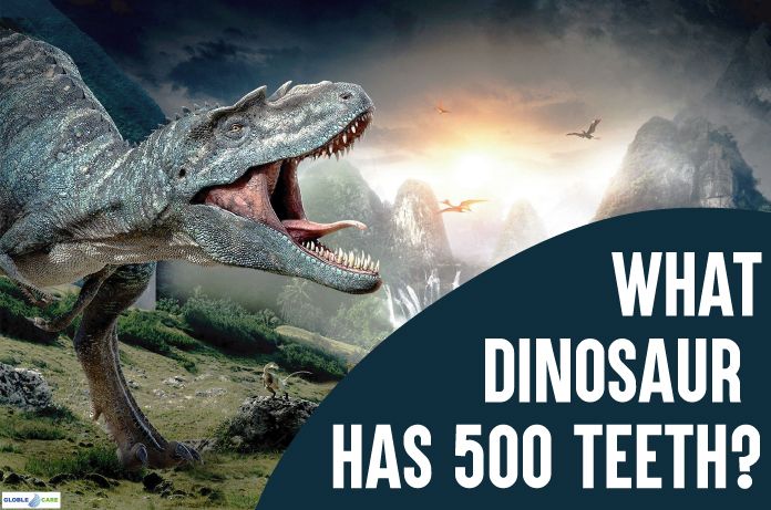 What Dinosaur has 500 Teeth?