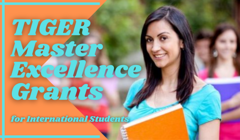 The TIGER Master Excellence Scholarship at Aix-Marseille University