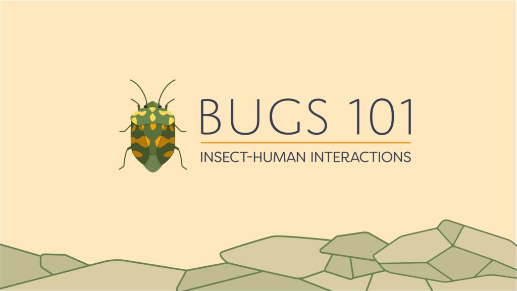 11 Best Online Zoology Courses | Bugs 101 Insect-Human Interactions by the University of Alberta 