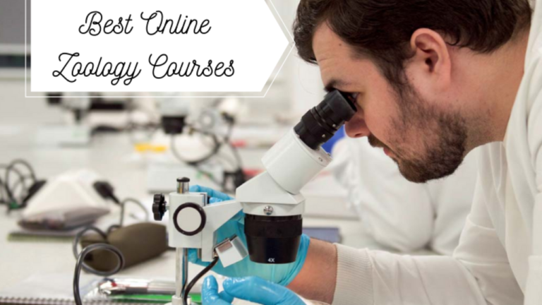 11 Best Online Zoology Courses