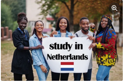 Study Abroad in the Netherlands