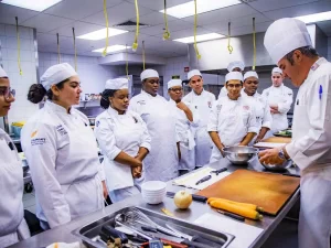 Best Culinary Schools In Albuquerque| Cost, Requirement & How To Apply