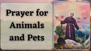St Francis Prayer For Animals and Pets
