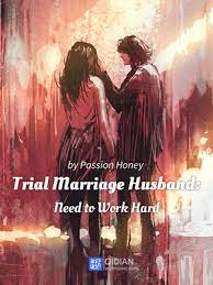 Trial Marriage Husband: Need to Work Hard by Passion Honey