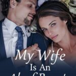 My Wife is an Aloof Beauty Novel by Jennie Buss