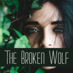 The Broken Wolf Novel by Sarah Skuld