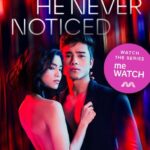 The Girl He Never Noticed Novel