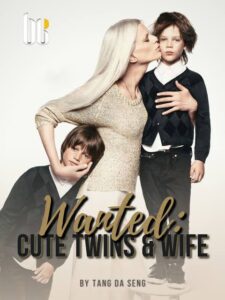 Wanted: Cute Twins & Wife Novel by Tang Da Seng