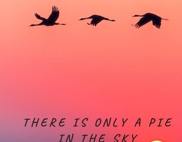 There is Only a Pie in the Sky Novel