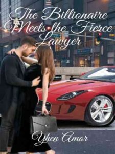 The Billionaire Meets the Fierce Lawyer Novel by Yhen Amor