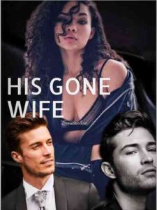 His Gone Wife Novel by Sonitaolise