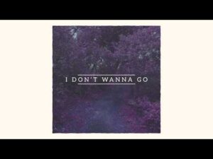 Chris Renzema - I Don't Wanna Go (Mp3 Download, Lyrics)