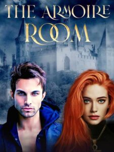 The Armoire Room Novel by Nicholas E Timm