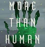 System: Become More Than Human Novel